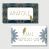 anatole place cards